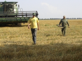Harvest Support Russia (9)